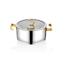 1141 - 8 Parça, İndüksiyonlu Ocak Uyumlu, Modern, Kalın Taban, Ağır, 1. Sınıf Paslanmaz Çelik, Tencere Seti, Gümüş Gövde, Gold Detay - Thumbnail